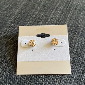 Jewel Stud Earrings